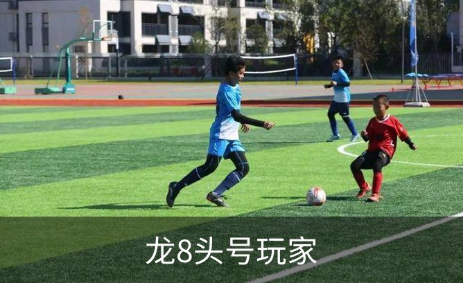 龙8头号玩家品牌故事